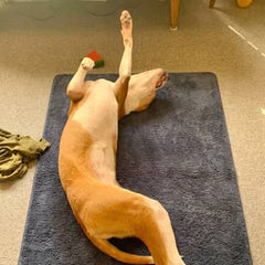 Marshie Mat customer photo